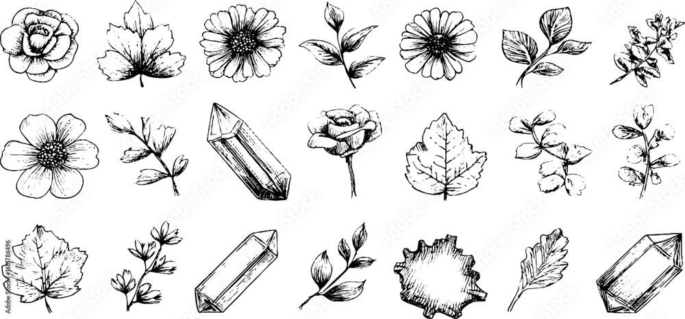 Aufkleber hand drawn doodle icons set of curly frames and botanical elements for design projects
