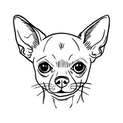 A detailed illustration of a Chihuahua dog. The dog has large ears, a short snout, and expressive eyes. It is depicted in a simple, line-art style.