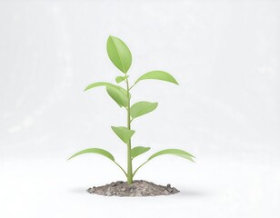Obraz premium A vibrant young plant sprouts from the earth, showcasing fresh green leaves against a simple white backdrop.