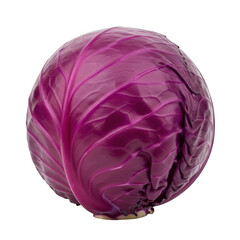 Obraz premium Vibrant red cabbage head isolated on a simple background for healthy cooking transparent background