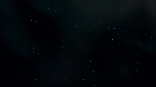 A creepy CGI spiderweb splits down the middle and opens like a curtain to reveal a black screen, a scary and spooky video transition or reveal element for a classic halloween horror movie
