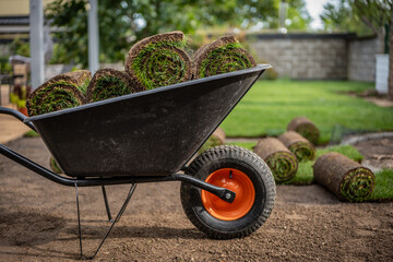 Stack of turf grass for lawn. Roll of sod, turf grass roll on wheelbarrow. Close-up of grass turf...