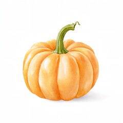 Fototapeta premium Large orange pumpkin with a green stem