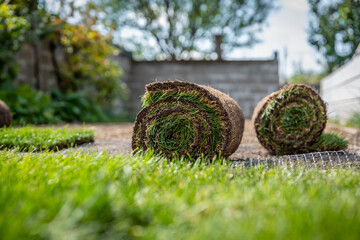 Stack of turf grass for lawn. Roll of sod, turf grass roll.