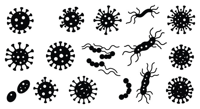 Various types of bacteria and viruses in simple black and white illustrations silhouette