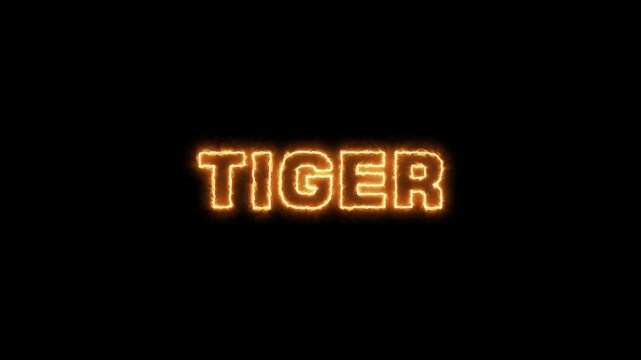 A vibrant neon open Tiger sign with glowing text and numbers illuminates the night