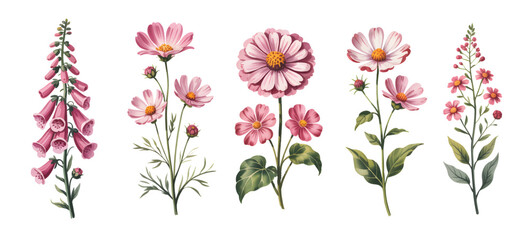 Soft watercolor pink meadow flowers with hand painted charm.