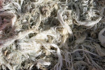 Traditional Erzurum Moldy String Cheese – Close-Up of Aged Turkish Civil Cheese with Mold Texture, Regional Dairy Specialty, Authentic Anatolian Cuisine and Fermented Food Photography