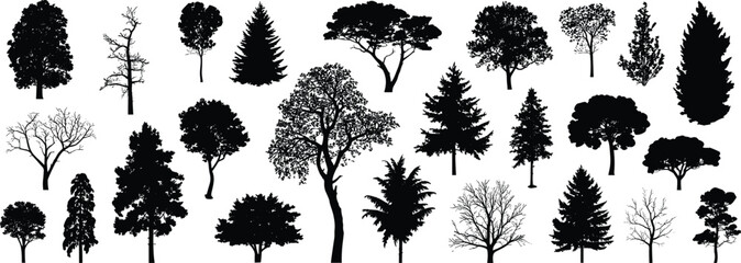 Naklejka premium Tree silhouettes collection, deciduous and evergreen species, bare branches, leafy crowns, black vector illustration, botanical design, forest icons, isolated shapes