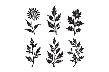 Six black botanical silhouettes of leaves and flowers
