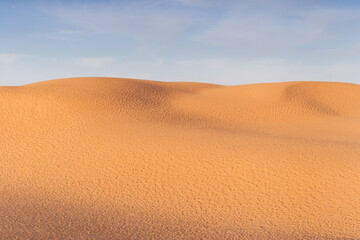 Sand dunes in the Thar Desert, Rajasthan, India.