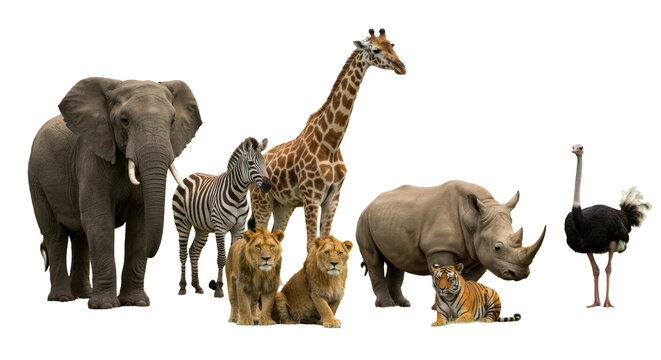 Majestic African wildlife (elephant, giraffe, zebra, lion, rhino, tiger, ostrich) stand peacefully in a lush green savanna under soft high-key light, concept of global biodiversity and peaceful - Powered by Adobe
