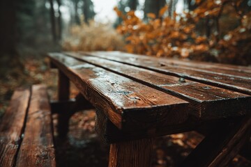 Weathered wooden picnic table covered in rain droplets in a moody forest during autumn