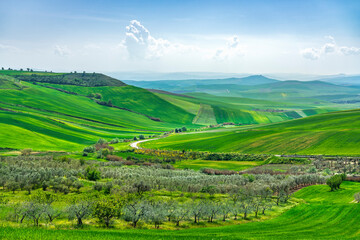 Rolling hills countryside near Poggiorsini in Puglia with olive groves and fields