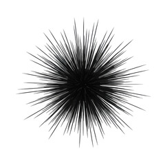 Obraz premium A perfectly sharp, photorealistic abstract image of a black sphere with crisp lines radially bursting on an immaculate white background, concept of strategic outreach and influence