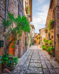 Charming cobblestone street in historic center of Spello with plants, Umbria