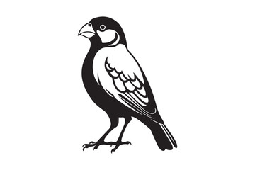 Black and white illustration of a small bird