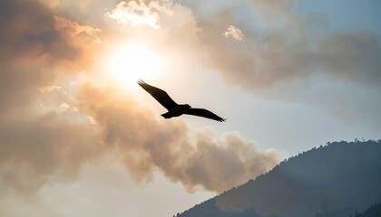 Fototapeta premium Bird Flying Through Smoke Haze