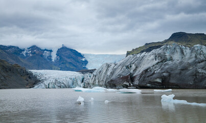 Kry lodowe u wybrzeży Islandii