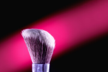 The makeup brush is shown in close-up against a beautiful backdrop