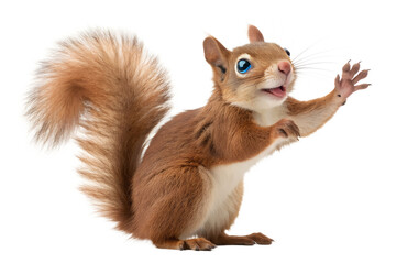 Fototapeta premium Charming Red Squirrel A Whimsical Portrait of a Playful Rodent, Showcasing Nature's Beauty with its Lively Expressions