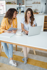 Two Women Working Together on a Laptop in a Stylish Brightly Lit Apartment