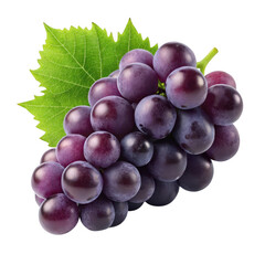 Fototapeta premium Fresh purple grapes isolated on transparent background