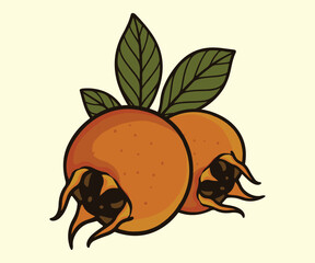 A madieval favorite medlar Vintage fruits  design