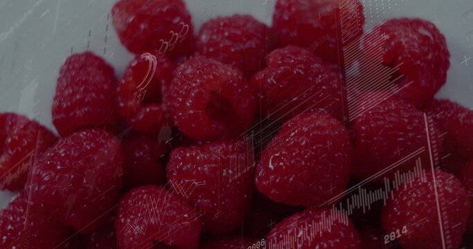 Displaying fresh raspberries on pale surface, featuring translucent line chart overlays