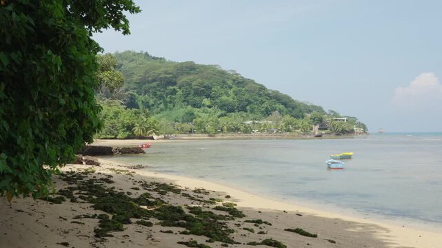 The prose of life on the paradise islands. The dilemma of expectation and reality with piles of grass and an unsuitable beach for swimming. Deception of tourists