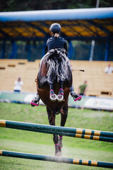 A rider on horseback jumps powerfully over a hurdle made of parallel bars - show jumping competition