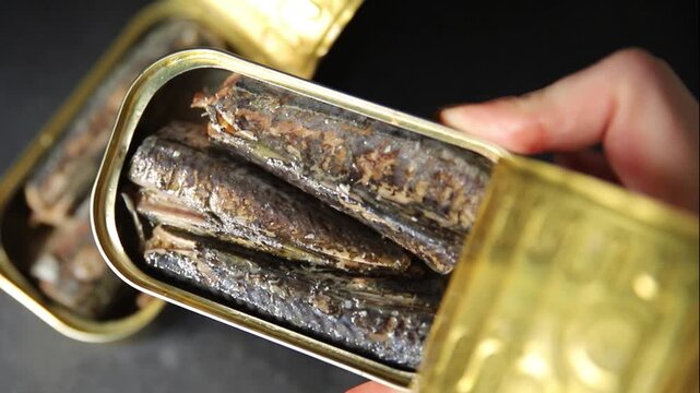 Sardine canned food sprats fish seafood fresh pescetarian diet gourmet food background on the table rustic food top view copy space keto and paleo diet