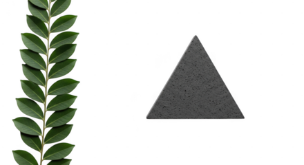 A sprig of green leaves and a grey triangular stone sit sidebyside on a transparent background