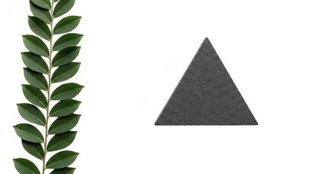 A sprig of green leaves and a grey triangular stone sit sidebyside on a transparent background