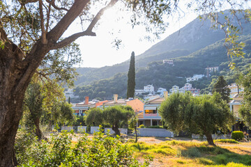 A serene view of a Mediterranean village with pastel-colored houses nestled among olive trees and...
