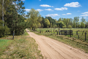 Fototapeta premium Unpaved road among fields and meadows in Wegrow County located in Mazowsze region of Poland