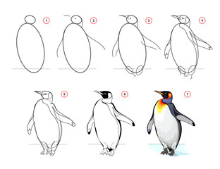 Obraz premium How to draw a king penguin. Educational page for children. Creation step by step insect illustration. Printable worksheet for kids school exercise book. Online education. Vector drawing.