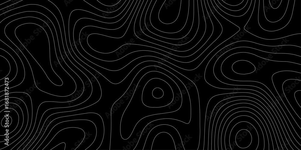 Poster modern style black and white topographic line pattern landscape terrain mountain range abstract mini