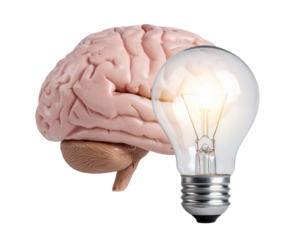 light bulb with human brain