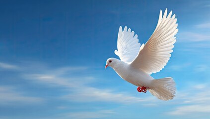 A white dove soars through a vast, cerulean sky, its wings outstretched in a graceful flight.