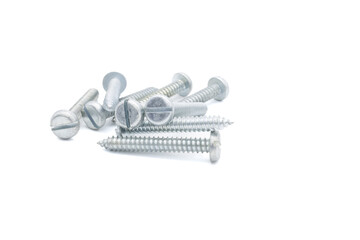 Wood screw or dowel on a white background