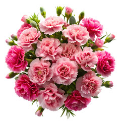 Fototapeta premium Bunch of pink carnation flowers isolated on transparent background