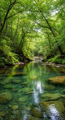 Fototapeta premium Serene Forest River: A vibrant forest scene with clear water stream meandering through the lush green of towering trees, reflecting the beauty of nature in a picturesque landscape