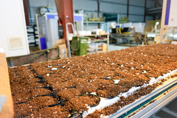 In a production facility, an automatic sowing machine uses artificial intelligence to fill...