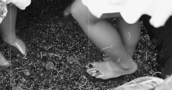 Grape harvesting and traditional winemaking. Young girls dressed in skirts joyfully crush freshly picked grapes with their bare feet inside a massive wooden barrel - slow motion like an old film