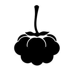 Monochrome Illustration of a Raspberry with Stem and Leaves, Simple Vector Art