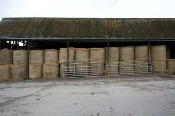 hay bales treehembourne Padstow cornwall uk