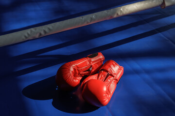 Red boxing gloves on blue ring canvas with dramatic light