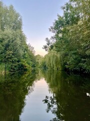 Tranquil River Reflections Surrounded by Greenery