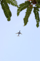 Passenger airplane captured from below, flying across a clear blue sky with green leaves in the foreground.